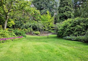 Optimiser l'expérience du jardin à Issancourt-et-Rumel